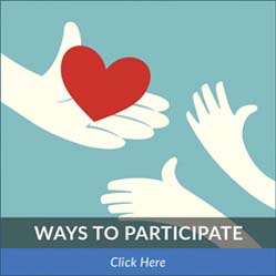 participate participate